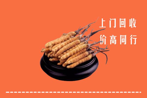 高价求购：郊区回收散虫草