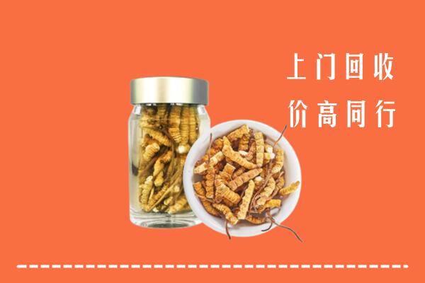 郊区回收冬虫夏草